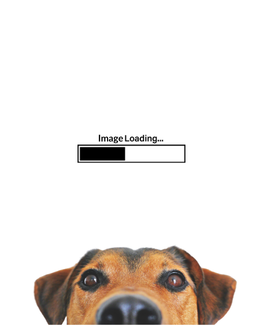 https://daysinnwestedmonton.com/wp-content/uploads/2026/08/Hotel-Staff-Photo-Placeholder.png